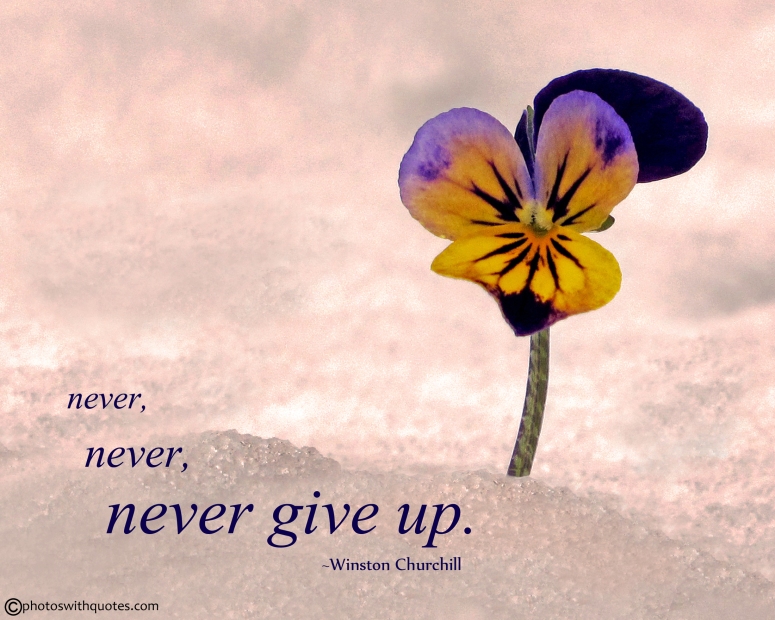 never-never-never-give-up-112-picture
